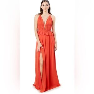Dress the Population Athena Fit & Flare Maxi Dress- Size XL